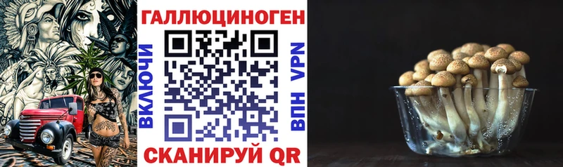 где купить наркоту  kraken сайт  Галлюциногенные грибы мицелий  Ельня 